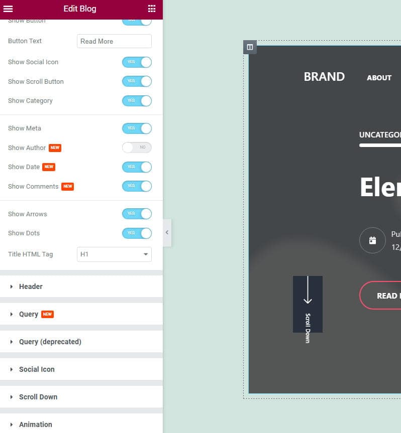 Prime Slider widget settings.