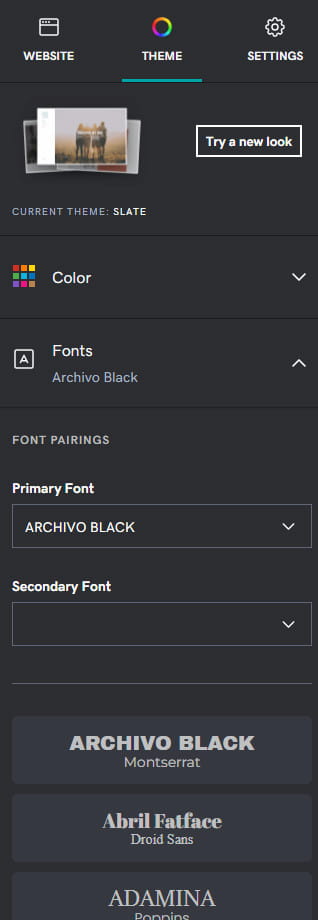 GoDaddy website builder theme settings.