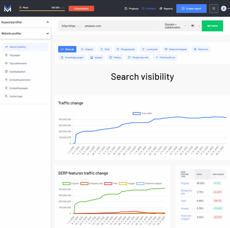 Marketing Miner website SEO audit feature.