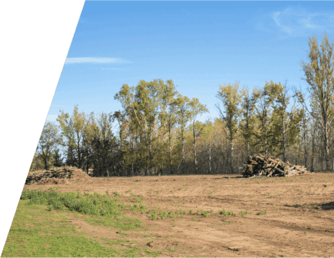 cleared land along tree line 1 480x371 (1)