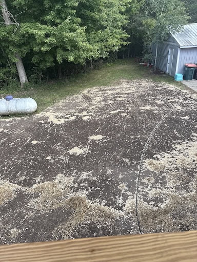 Photo from customer review