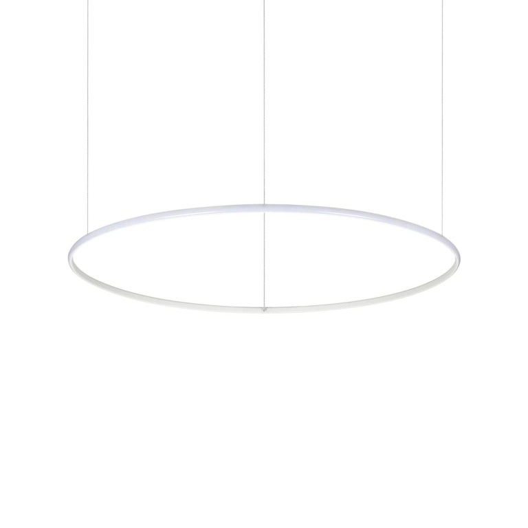 Pakabinamas šviestuvas HULAHOOP SP D100, 258751