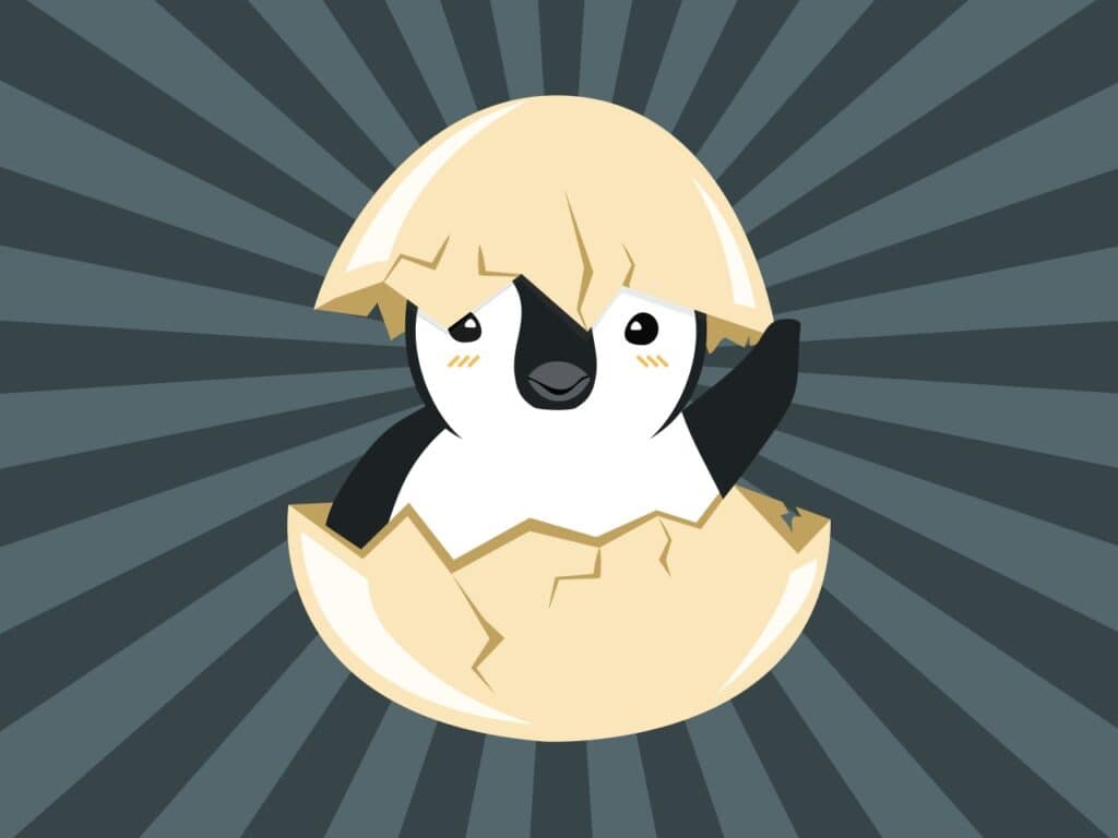 linux-installation-date-how-to-discover-your-system-s-age