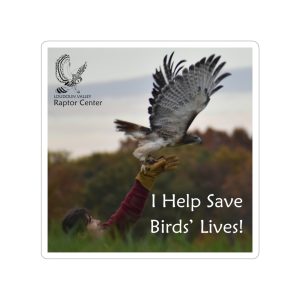 "I Help Save Birds' Lives!" Transparent Outdoor Stickers, Die-Cut, 1pcs