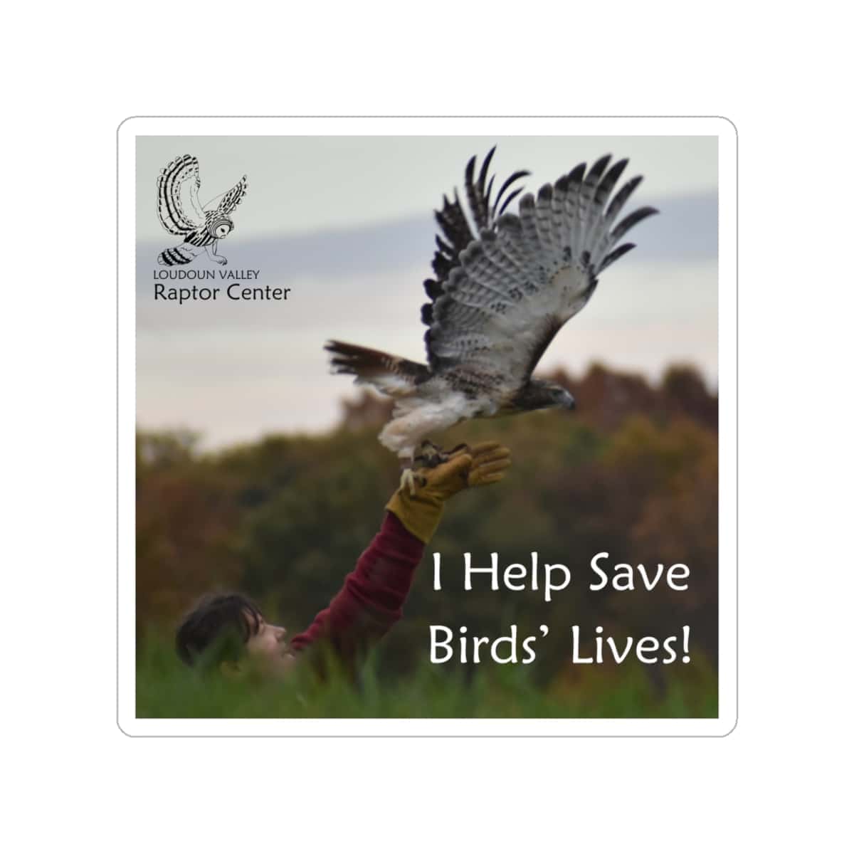"I Help Save Birds' Lives!" Transparent Outdoor Stickers, Die-Cut, 1pcs