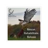 "Rescue. Rehabilitate. Release." Transparent Outdoor Stickers, Die-Cut, 1pcs - Image 4