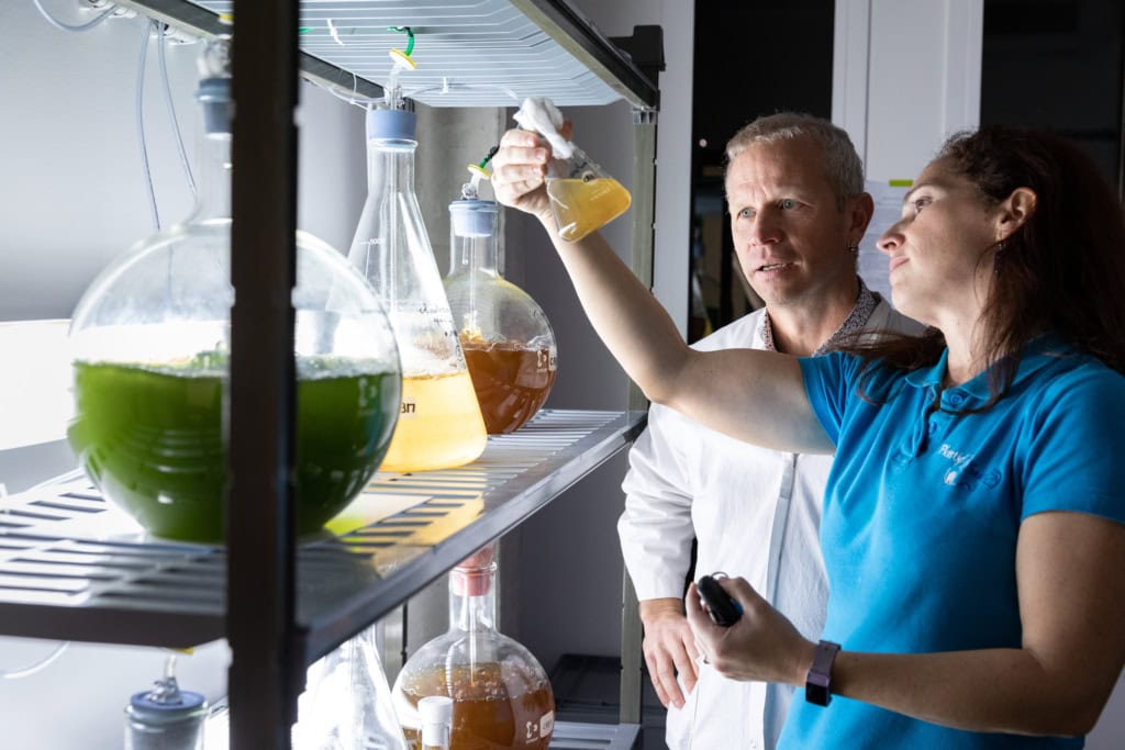 Reportage für das Terra Mater Magazin zum Thema Mikroplastik: Im Laboratoire d’Océanographie Microbienne in Banyuls-sur-Mer wird an plastikfressenden Mikroorganismen im Meer geforscht.