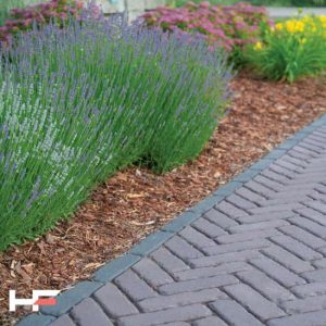 Lavender and colorful flowers along a brick pathway in a garden.