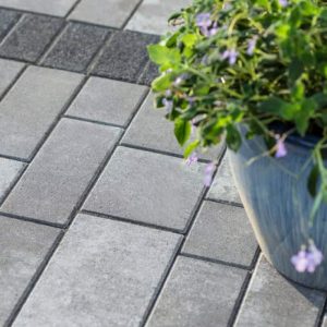 Paved stone walkway with a potted plant featuring purple flowers for garden decor.