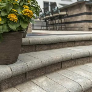 Stone steps with potted yellow flowers, outdoor setting.