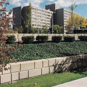Modern urban office building with landscaped foreground and clear sky.