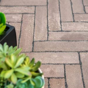 Brick paver patio with green succulents in pots.