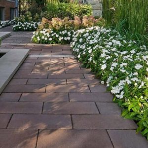 Pathway with white flowering plants along a garden walkway.