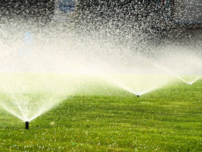 Irrigation sprinkler watering a lush green lawn efficiently.