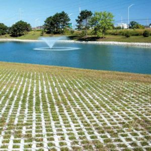 Beautiful pond with fountain surrounded by greenery and planting grid for website branding.
