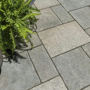 Close-up of stone patio paving with green fern plant.