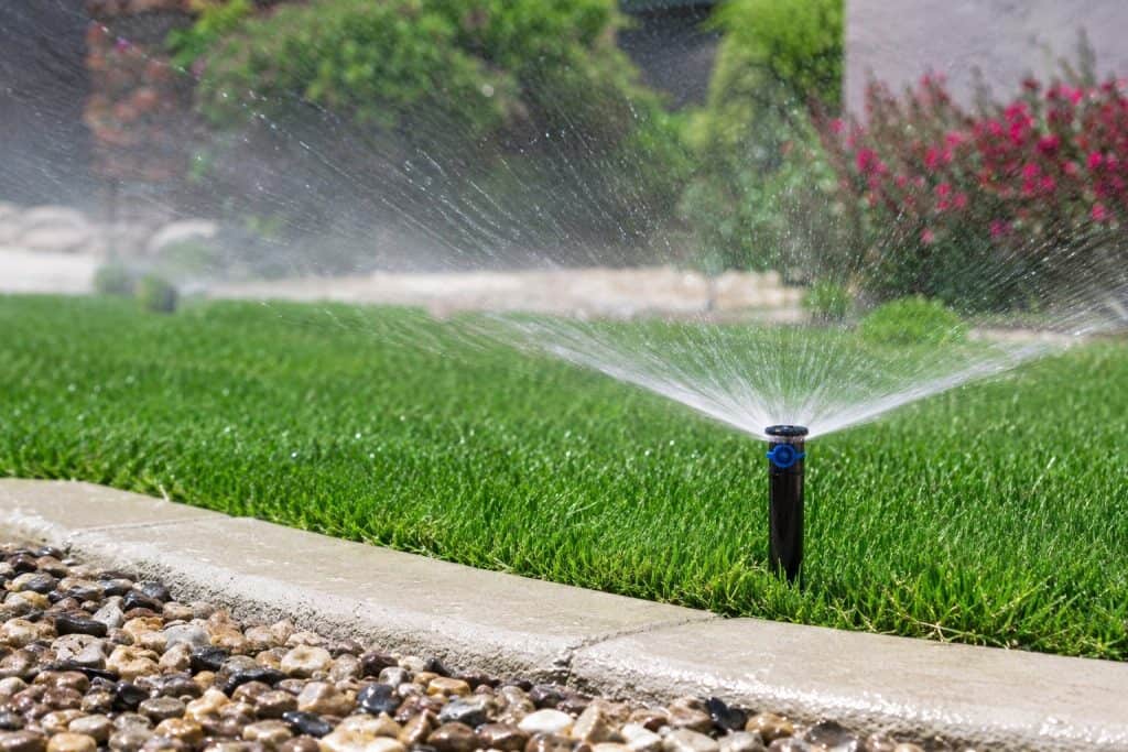 Sprinkler watering a well-maintained green lawn in a residential yard.