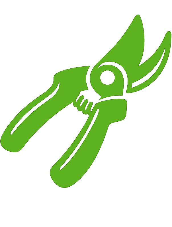 Green pruning shears for gardening and plant trimming.