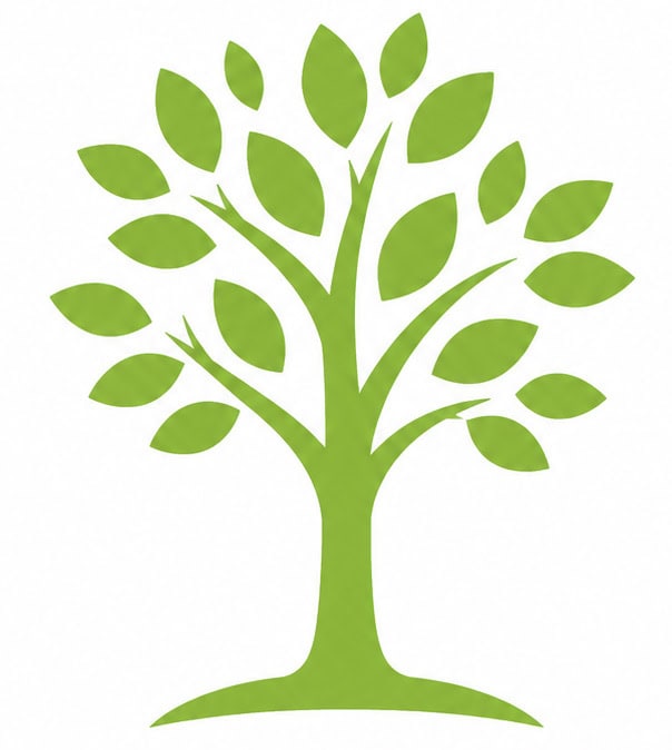 Green tree illustration symbolizing growth and renewal for website branding.