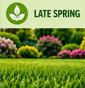 Lush green lawn with blooming flowers in late spring for weed management.