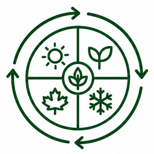 Eco-friendly weed control methods for a healthy garden.