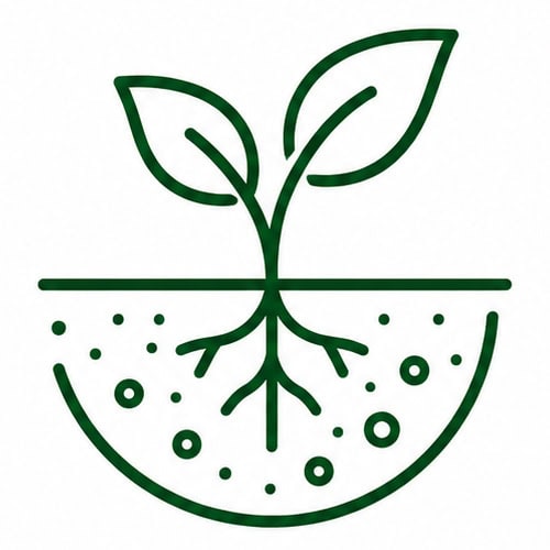 Illustration of weed control with healthy roots and soil management.