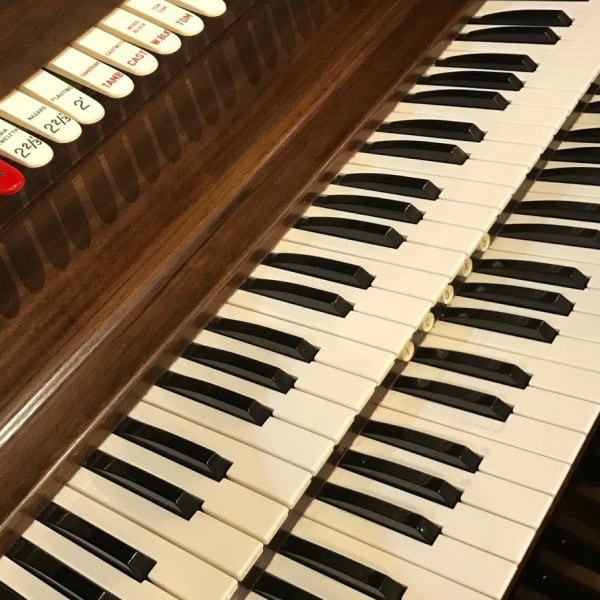 Close up imgae of organ keys