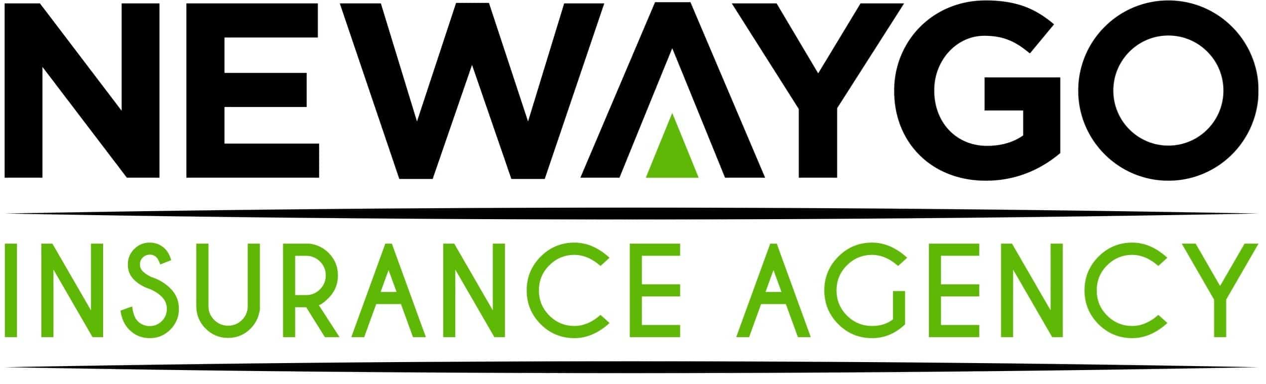 newaygo insurance larger 001