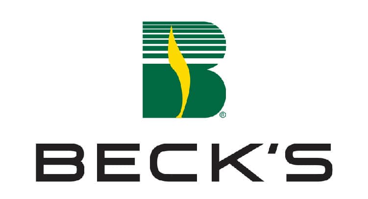 BECKS (1)