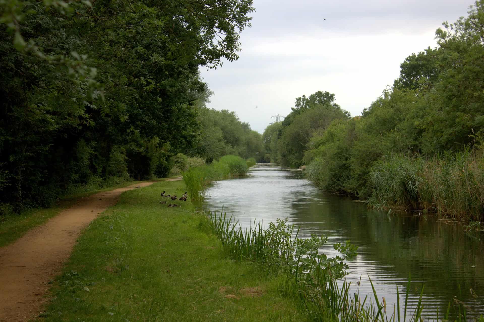 A serene canal flanked by lush green trees and vegetation. A narrow dirt path runs alongside the water, dotted with small patches of grass. The scene is tranquil, with a cloudy sky overhead, suggesting a calm, overcast day.