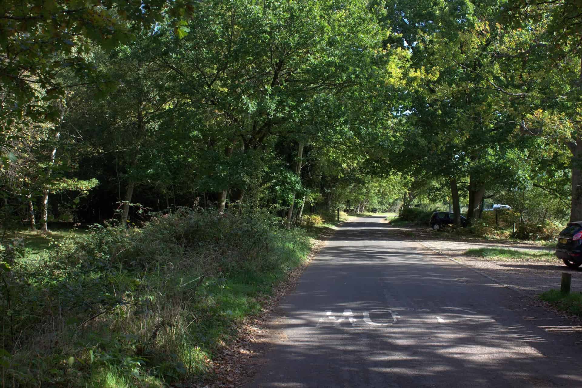 A narrow, shaded road in Farnham Common is flanked by dense, leafy trees on a bright day. Sunlight filters through the branches, casting dappled shadows on the pavement.