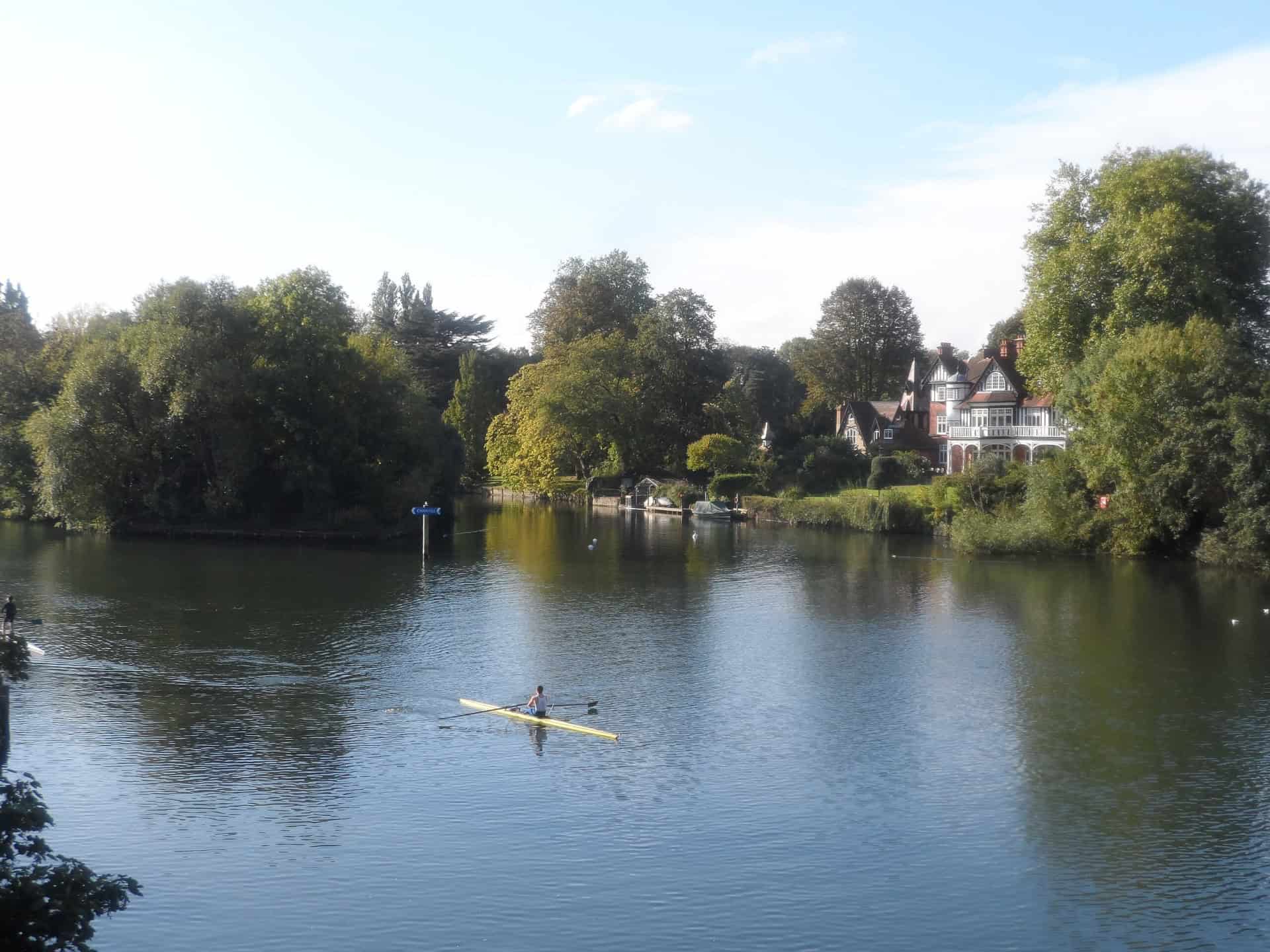 A person is rowing on a calm Thames river surrounded by lush green trees. In the background, there are several houses on the right bank, partially obscured by foliage. The scene is serene under a blue sky.