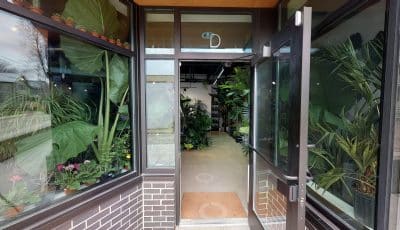 The Plant Parlor | Virtual Tour 3D Model