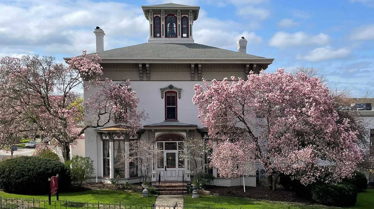 Victorian house surrounded by blooming cherry blossom trees in spring.