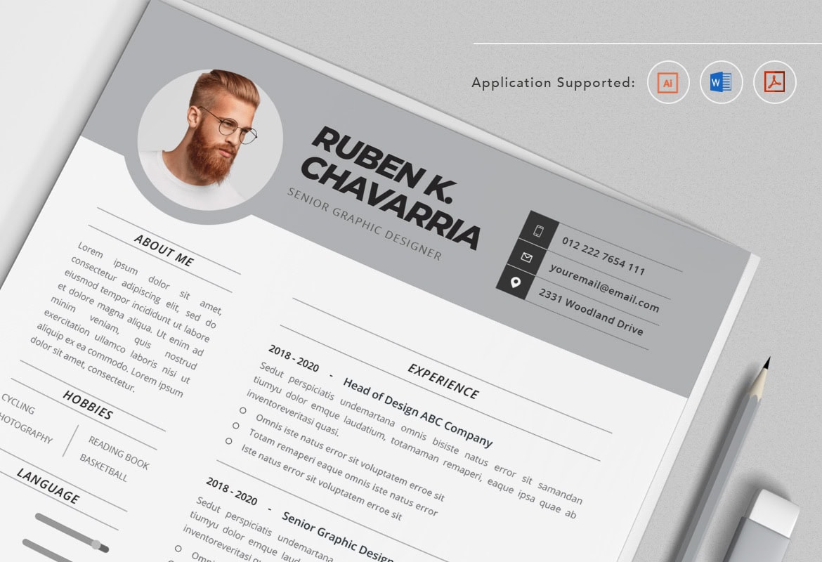 Professional CV Resume Illustration Template Vol.35