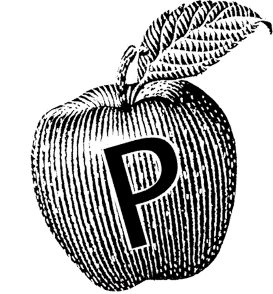 Logo Icon