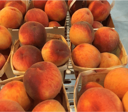 peaches