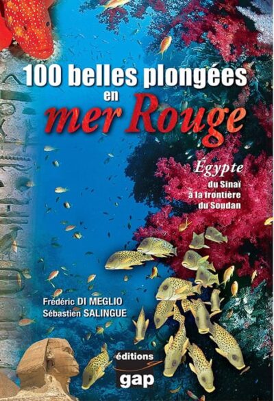 100-belles-plongees-mer-rouge_2 Explorez les merveilles sous-marines de la mer Rouge, entre coraux vibrants et faune exotique, pour une aventure inoubliable.