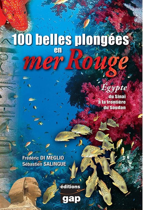 Explorez les merveilles sous-marines de la mer Rouge, entre coraux vibrants et faune exotique, pour une aventure inoubliable.