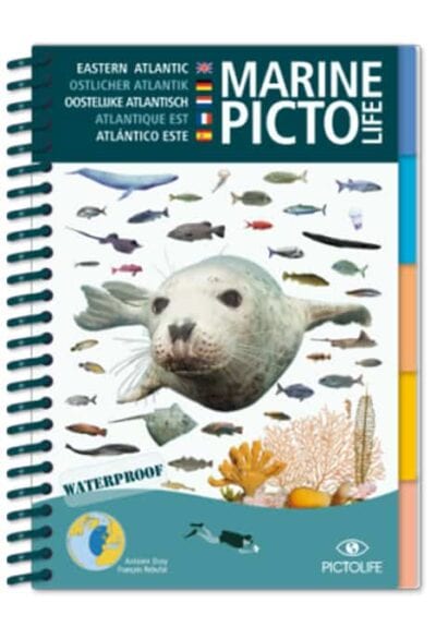 marine-pictolife-atlantique-est_1 Guide imperméable illustrant la faune marine de l'Atlantique Est, idéal pour les plongeurs explorant la biodiversité sous-...