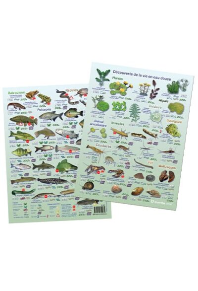 Découvrez la diversité de la faune et flore d'eau douce avec cette plaquette immergeable, idéale pour vos explorations sub...