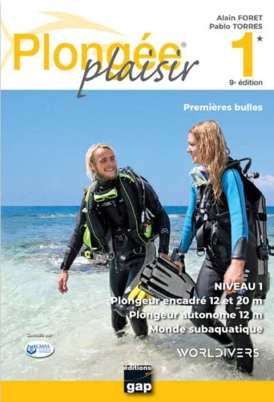 Deux plongeurs souriants en combinaison discutent sur la plage, prêts à explorer les merveilles du monde subaquatique.