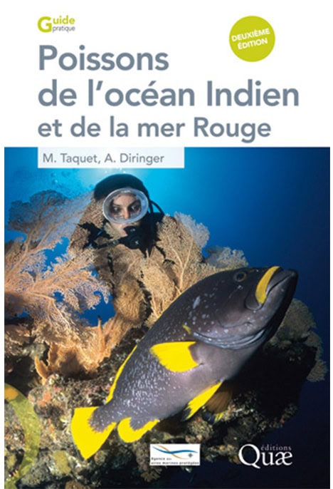 Explorez la biodiversité fascinante de l'océan Indien et de la mer Rouge avec ce guide pratique essentiel pour les plongeu...