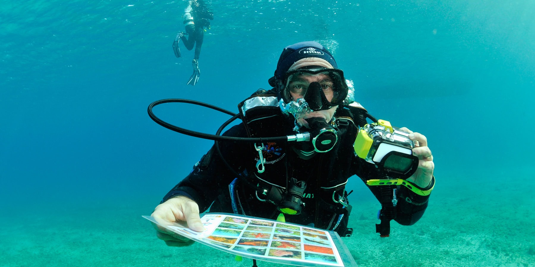 Plongée sous-marine avec un photographe explorant la vie marine et la biodiversité aquatique.