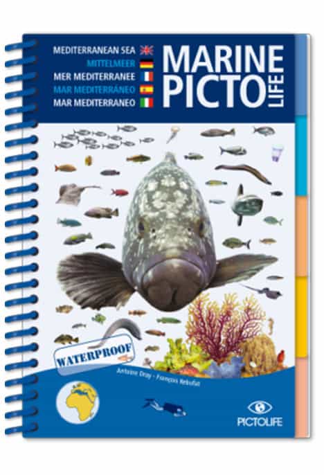 Guide indispensable pour les plongeurs, ce livre waterproof illustre la biodiversité marine de la Méditerranée. #Explorati...