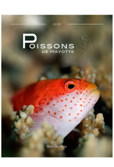 Explorez la biodiversité marine de Mayotte avec ce guide captivant sur les poissons tropicaux, idéal pour les passionnés d...