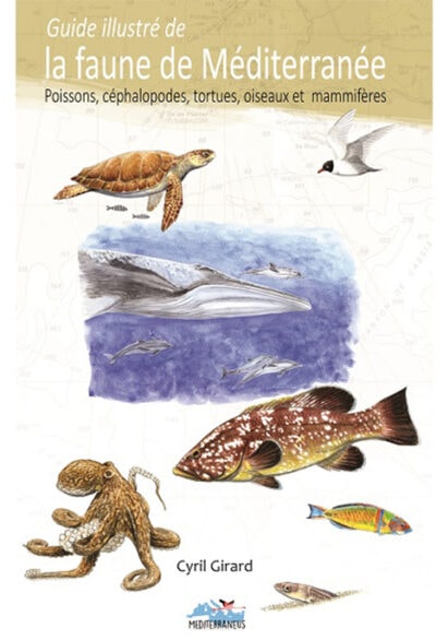guide illustré de la faune de méditerranée Explorez la biodiversité marine méditerranéenne avec ce guide illustré, essentiel pour tout passionné de plongée.