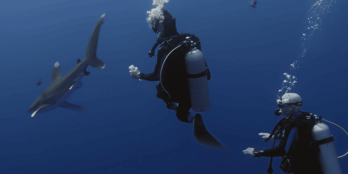 © Legacy, le seigneur du large.