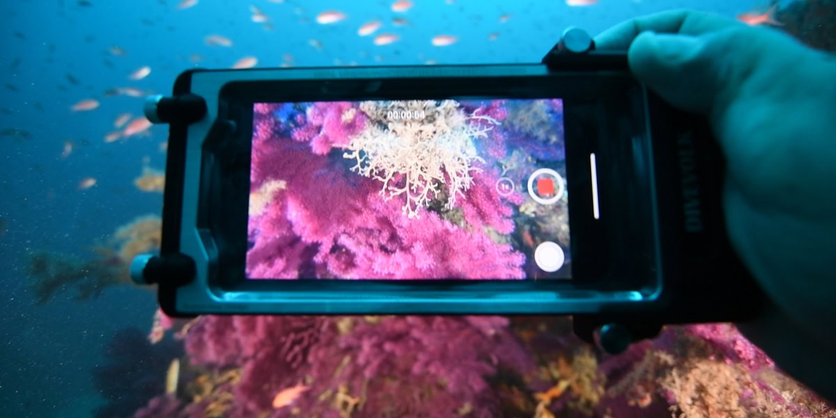 Test caisson SeaTouch 2 pro