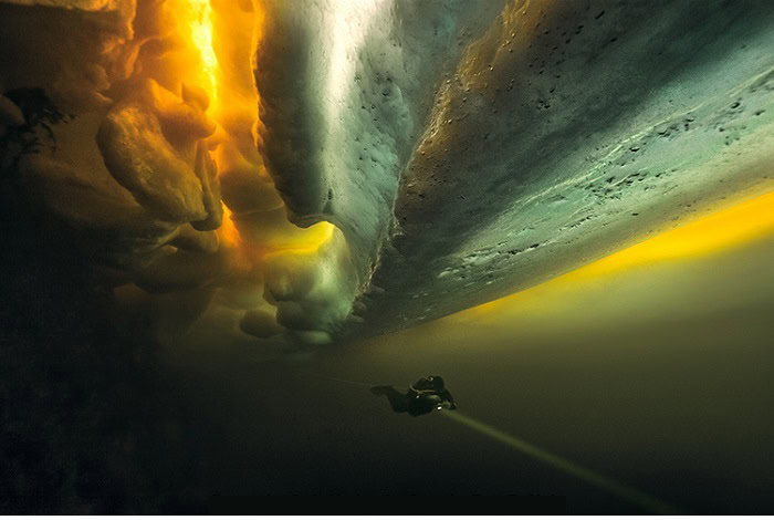 Under The Ice Of The White Sea